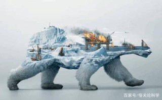 4900萬年前，一種植物改變了地球氣候，如今它將再次拯救人類