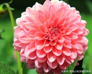 下周開始，行大運得橫財，財富如流水，擋都擋不住的3星座