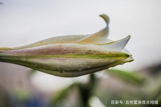 11月開始，財運大開，事業一鳴驚人的生肖，有你嗎？