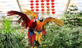 親近自然，去南宮釣蝦、餵魚、看鸚鵡