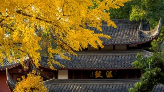 成都香火旺盛的寺廟，是長江上下游四大禪林之首，不要門票