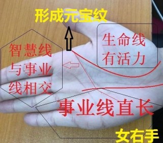 女性手相幾個特徵，成為富婆的潛力，一世好風光！