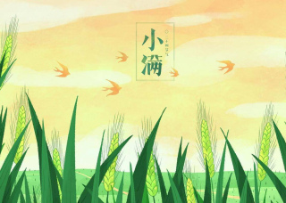 周日小滿，大熱天推薦10道涼拌菜，清爽好吃，適合夏天的好菜