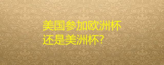 美國參加歐洲杯還是美洲杯？