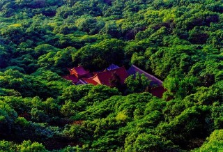 蕭縣市安徽省文物大縣，擁有眾多知名旅遊景區