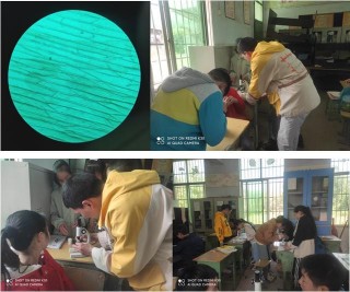走進微觀世界 探索生物奧秘——宜賓市敘州區商州鎮幸福小學組織學生走進有趣的科學實驗課