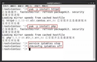 如何實現外網監控Linux服務器狀態？花生殼內網穿透幫你