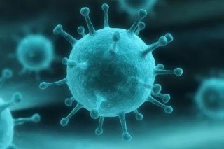 「IG&AL生物學科興趣培養課」吃吃吃的快樂：如何越吃越健康？