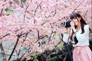 2021濟寧首屆櫻花花海旅遊文化節3月20日盛大啟幕