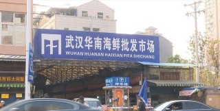 21國基因分析結果公布，新冠病毒來源接近真相，5國病毒最古老