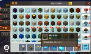 迷你世界雨林探索，如何才能找到大神廟，方法非常簡單