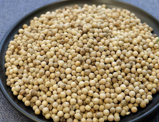 魚腥味難去掉？過年燉魚放這些調料，魚肉出鍋香味撲鼻，越嚼越香_去腥_白芷_蘇子