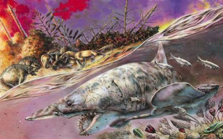 自然界存在永生的生物嗎？它的生命力非常強大，能夠返老還童