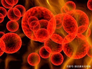 6500萬年前恐龍滅絕，人類文明史也只有幾千年，中間經曆了啥