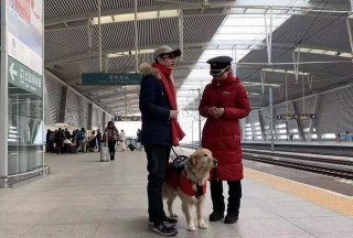 狗狗能坐火車回家嗎？小狗可以，但不建議路途長的主人這樣做