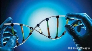 弈柯萊生物羅煜：從酶催化合成解構合成生物學產業化的未來