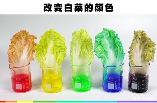 可以在孩子面前展示的7個科學實驗