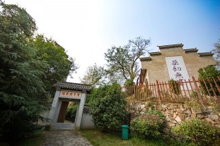 出漢口往北約50公里的花鄉茶谷，湖北旅遊新地標，很多人都不知道