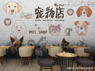 想要經濟獨立的女孩看過來，2020年適合女性做的6個創業項目