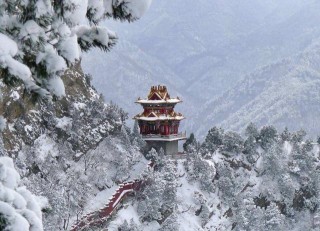 山西又一景點走紅，因一只動物而出名，今成著名旅遊打卡地