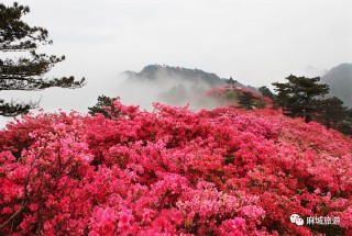 攻堅5A創建，提升服務能力：龜峰山景區開展旅遊服務知識技能培訓