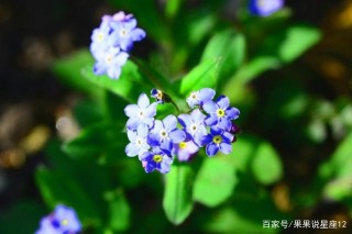 未來15天，天降好運，事業步步高升，伸手有財的4星座