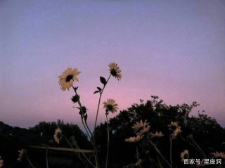 一旦遇到愛人的事兒，立馬敏感又玻璃心的星座