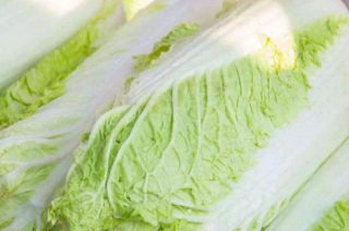 白菜搭一寶，養胃益氣血、滋補不上火！被稱“下飯小能手”