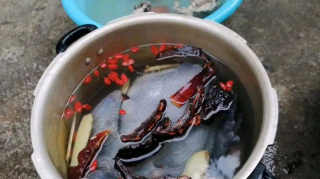 五款烏雞湯，好喝又實惠，值得擁有