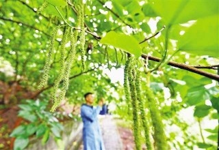 這個實驗室展示出不一樣的生物世界