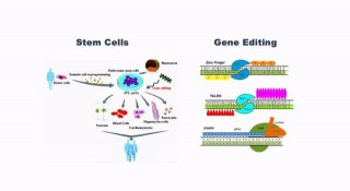 季維智院士：新興學科交叉融合為生物醫學研究提供廣闊的發展空間