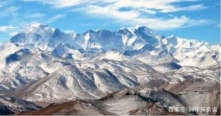 不怕高原反應，能一下飛過珠峰，這種大雁體內藏著奧秘