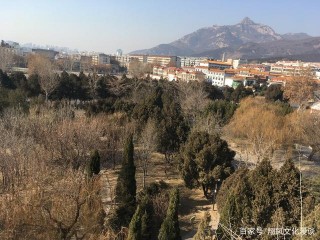 文化：今天補習歷史知識