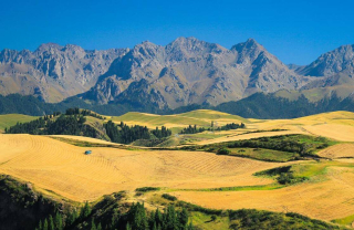 最早的秋景，這個秋天去哪裏，這些秋景沒有平替_金色_阿爾山_呼倫貝爾