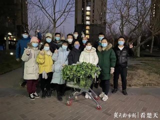 武漢的愛心石家莊收到了！石家莊人收到了來自武漢的50噸萵苣，還吃起了萵苣宴