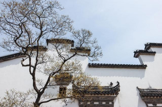 深談文化斷層：成為自媒體大V的正確姿勢