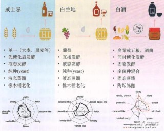 深奧藝術：白酒的生物活性成分，仍是世界難題