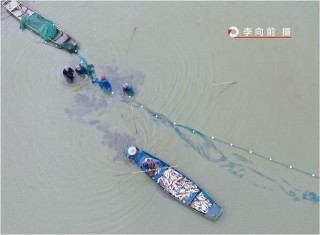 鶴山古勞魚生，具有水鄉特有的地域文化