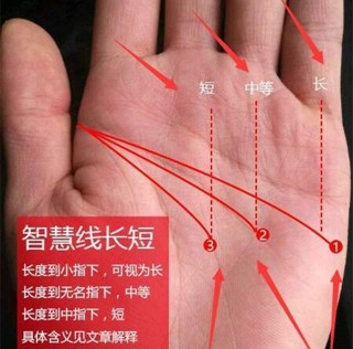 如何從手相上的智慧線（人紋）看一生的事業和財運？