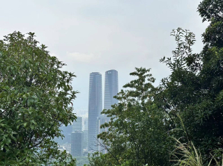 深圳景點推薦：一城繁華，萬般風情——解鎖你的旅行新篇章_文化_美食_城市