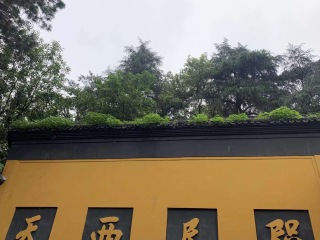 杭州行：古今交融的浪漫之旅，從西湖到龍井，不只是詩和遠方！_歷史_靈隱寺_遊客