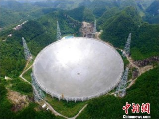 金氏世界紀錄日：薈萃全球之最 這些奇趣挑戰你聽過嗎？