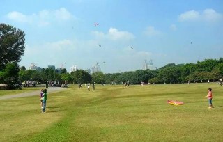 周末陪孩子一起來深圳蓮花山公園風箏廣場 踏青郊遊，登高遠眺！