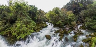 旅遊行業這一年⒆｜荔波小七孔景區：尋求突破 逆勢破局