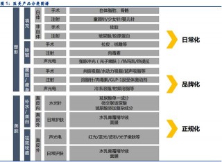 醫美產業鏈深度研究報告：繪醫美產品圖譜，鑒他山之石功過