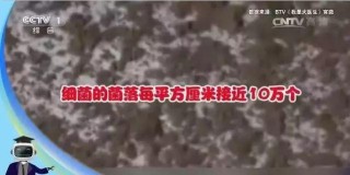 馬桶水箱裡放一瓶，半年不用刷馬桶，每天僅幾毛錢！20年的家政阿姨都說好用！