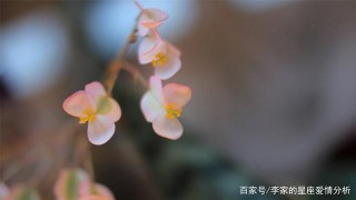 真情陷落恍如初見，擁舊情人入懷，3星座情根深種