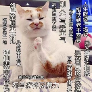 佛繫戀愛、佛系星座…因為第一批90後，「佛系」火了