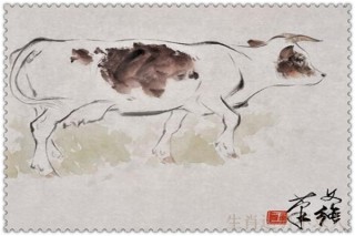 生肖牛 2019年哪方面運勢最好?