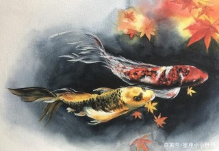 9月末，3星座迎來桃花，沒意料到那個人原來是你